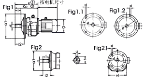 speed reducer